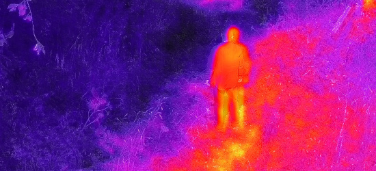 Dron pomógł odnaleźć zaginionego w Bieszczadach