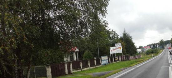Zatrzymani za uprawę konopi