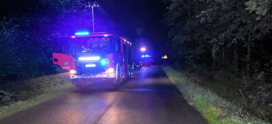 PODKARPACIE: Śmiertelne potrącenie rowerzysty