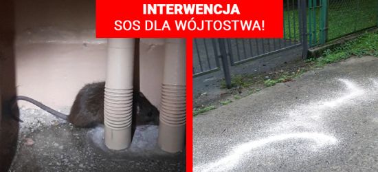 INTERWENCJA: SOS dla Wójtostwa! Sygnał Internauty (VIDEO, ZDJĘCIA)