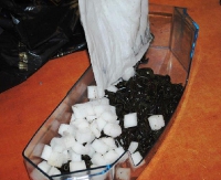 Z granicy do ZOO – Służba Celna wykryła przemyt 600 chronionych pijawek (ZDJĘCIA)