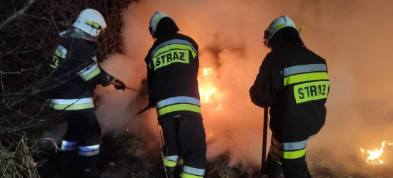 Wypalanie traw trwa. Strażacy musieli po raz kolejny interweniować! (ZDJĘCIA)
