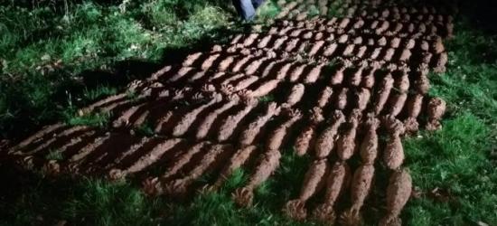 REGION: Jego ogród był tykającą bombą! 200 pocisków z czasów wojny na posesji 59-latka (ZDJĘCIA)
