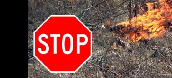 Rozpoczął się sezon na nagminne wypalanie traw