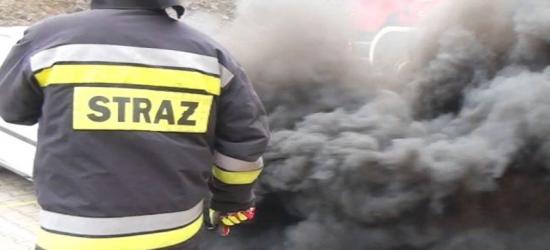 Mikołaj odwiedził najmłodszych podopiecznych Stowarzyszenia Pomoc Rodzinie