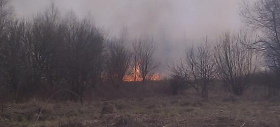 SANOK: Płoną trawy na Jerozolimie (ZDJĘCIA)