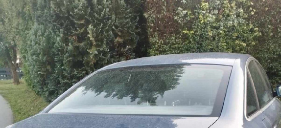 POWIAT BRZOZOWSKI. Nieletni rowerzysta zderzył się z audi. Na miejscu pracują policjanci