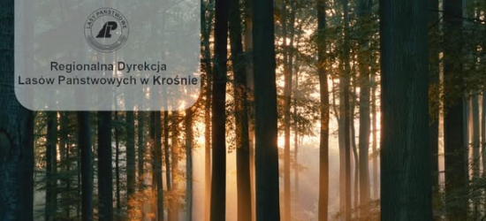 Spotkania w RDLP w Krośnie w sprawie systemu certyfikacji FSC