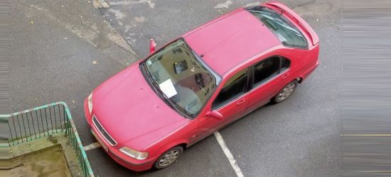 Miejsca parkingowe tych kierowców nie interesują (ZDJĘCIE)