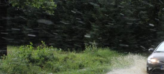 Naturalna woda alkaliczna z Podkarpacia –  zaskakujące odkrycie!