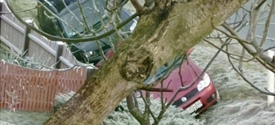 PORAŻ: 5 samochodów w rowie w ciągu 2 godzin (ZDJĘCIA)
