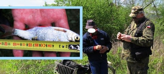 Złapany na nielegalnym połowie (FOTO)