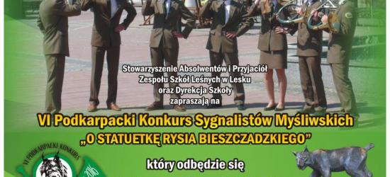 KONCERT PUNKROCKOWY W BRZOZOWIE