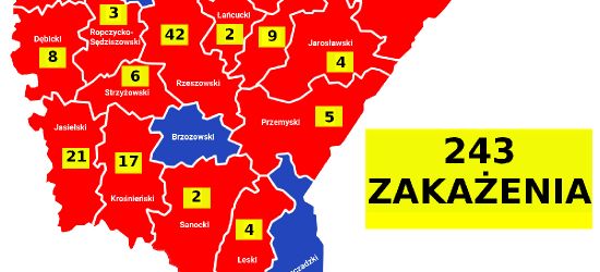 9 nowych zachorowań na Podkarpaciu. AKTUALNA MAPA