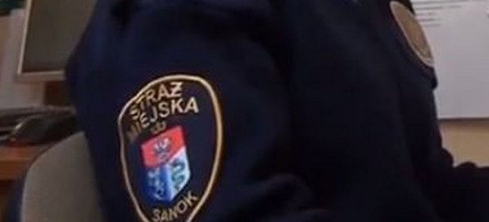 KRONIKA STRAŻY MIEJSKIEJ: Obnażający się w parku i podrzucone śmieci