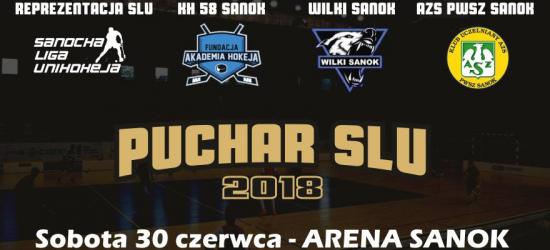 SOBOTA: I edycja Pucharu Sanockiej Ligi Unihokeja w Arenie (ZDJĘCIA, HARMONOGRAM)