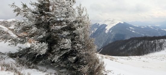 BIESZCZADY: Uwaga na wiatr w górach. Silne podmuchy na połoninach (ZDJĘCIA)