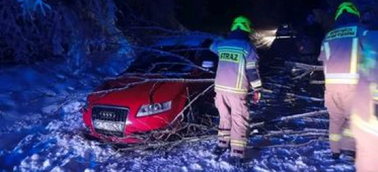 Drzewo spadło na samochód. W środku dwie osoby (ZDJĘCIA)