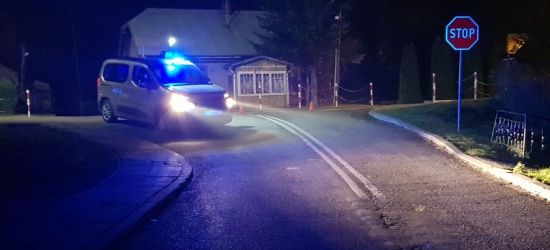 Wypadki z udziałem pieszych. Ważny zdrowy rozsądek i szacunek