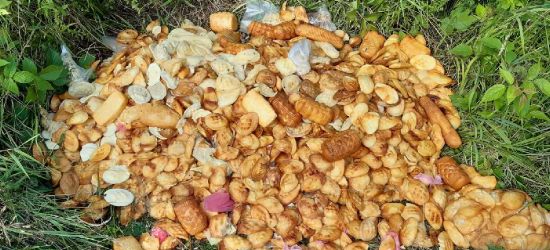 BIESZCZADY. Zepsute i śmierdzące sery uprzątnięte z lasu (ZDJĘCIA)