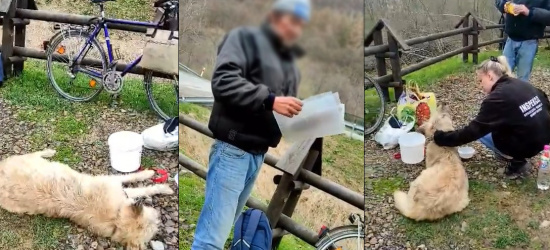 BIESZCZADY. Ciągnął psa za rowerem planując podróż do USA. Nieoczekiwany finał (ZDJĘCIA)