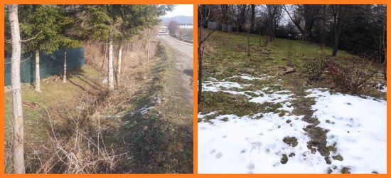 Kolejne ataki wilków. Zagryziona zwierzyna w Sanoku, Pisarowcach i Załużu (ZDJĘCIA)
