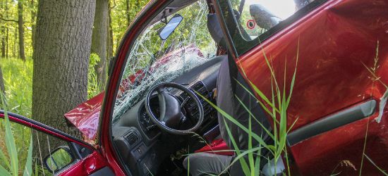 Na zakręcie wypadł z drogi i wylądował w rowie. 2,5 promila…