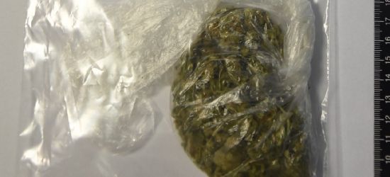 SANOK. 22-latek aresztowany. Znaleziono przy nim marihuanę i psychotropy