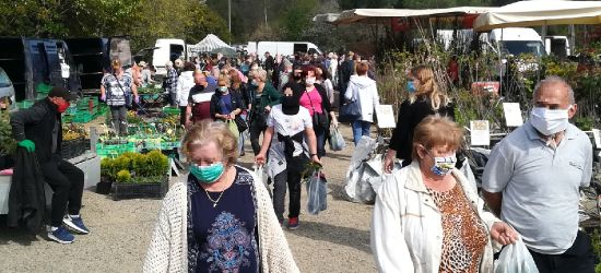 SANOK: Tłumy na targowisku przy Sanie (ZDJĘCIA)