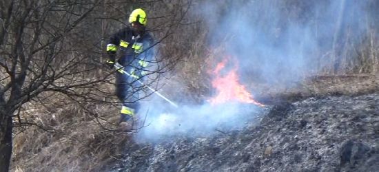 ZAŁUŻ: Pożar traw. Błyskawiczna akcja strażaków (VIDEO)