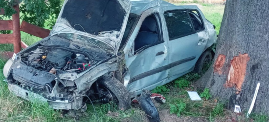 PODKARPACIE. Tragiczny wypadek. Samochód uderzył w drzewo (ZDJĘCIA)