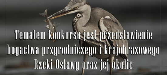 KONKURS FOTOGRAFICZNO-ARTYSTYCZNY