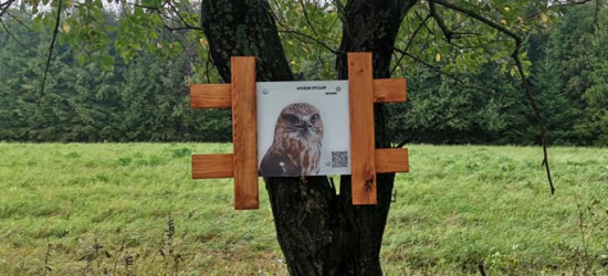 Zapraszają na ścieżkę historyczno-przyrodniczą (ZDJĘCIA)