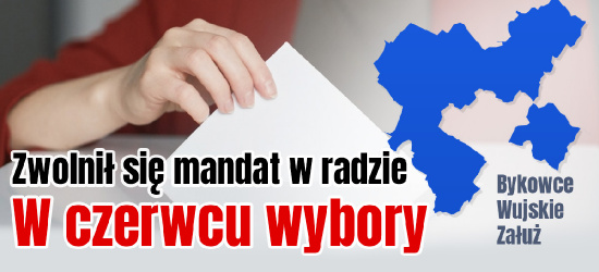 W czerwcu wybory uzupełniające do rady. Kalendarz wyborczy