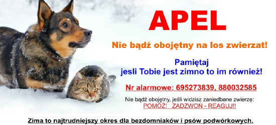 SANOK. APEL. Nie bądź obojętny na los zwierząt!