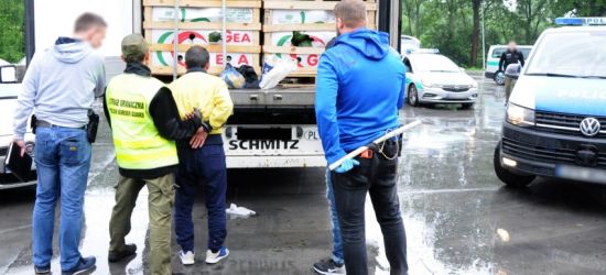 Siedmiu imigrantów ukrytych w arbuzach (ZDJĘCIA)