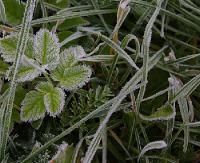 IMGW OSTRZEGA: Prognozowany spadek temperatury poniżej 0 stopni Celsjusza. W rejonach podgórskich do -7°C