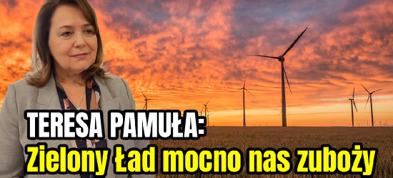 TERESA PAMUŁA: Zielony Ład mocno nas zuboży (VIDEO)
