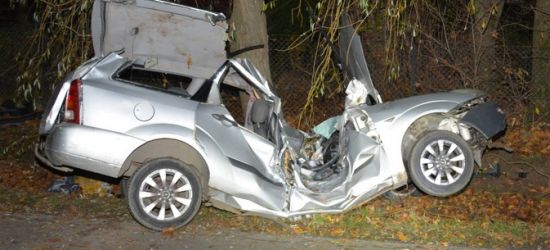 Uderzył w drzewo, pojazd roztrzaskany! Cud, że żyje! (FOTO)