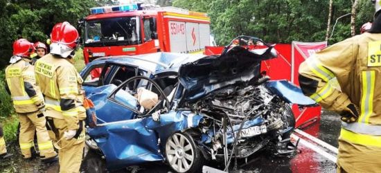 Sprawca tragicznego wypadku aresztowany. Czy odpowie jak za zabójstwo? (ZDJĘCIA)