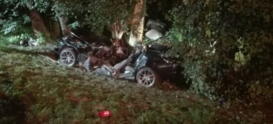 BMW uderzyło w drzewo. Zginęło dwóch młodych mężczyzn (FOTO)