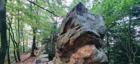 OTRZYMALIŚMY. Zdobądź wszystkie szczyty „Korony Ziemi Sanockiej”! (ZDJĘCIA)