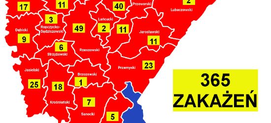 Dwa nowe zakażenia koronawirusem na Podkarpaciu. AKTUALNA MAPA