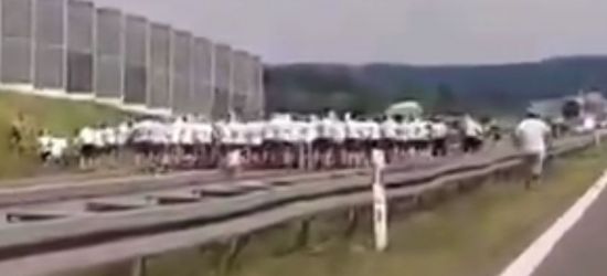 Ustawka pseudokibiców na autostradzie pomiędzy Rzeszowem a Krakowem (VIDEO)