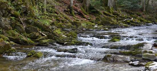 BIESZCZADY: Malownicze kaskady. Warto zobaczyć (FOTO)