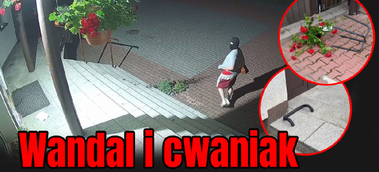 SANOK: Wandal pod szkołą. Oszacowano straty. Co grozi sprawcy? (VIDEO)