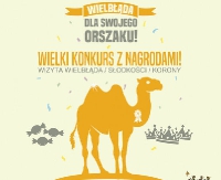 Głosuj na pierwszy, sanocki Orszak Trzech Króli. Główną nagrodą jest wielbłąd!
