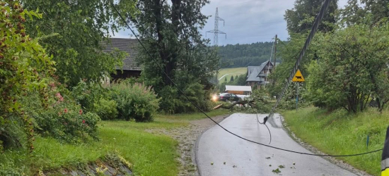 BEZMIECHOWA GÓRNA. Drzewo runęło na linię energetyczną