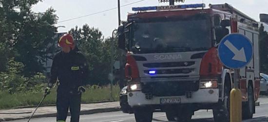 UWAGA KIEROWCY: Plama ropopochodna w okolicach Ronda Beksińskiego (ZDJĘCIE)