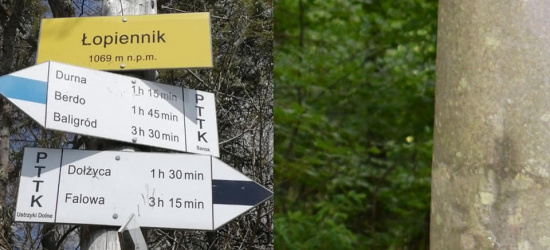 Nowa atrakcja w Bieszczadach. Odwiedź ,,Stary Majdan” (ZDJĘCIA)